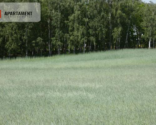 Działki budowlane z warunkami zabudowy