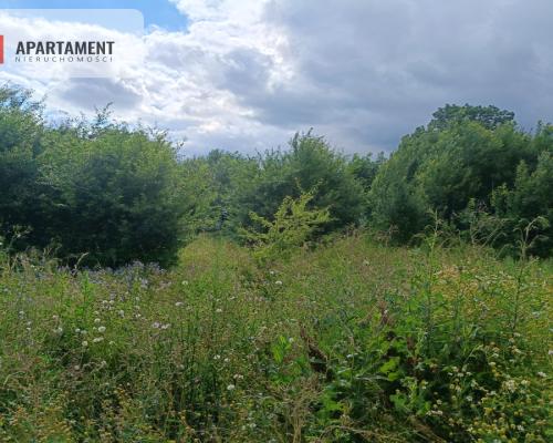 Działka usługowo-mieszkalna 5 km od Pruszcza!!!