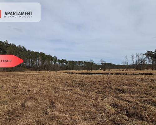 Działka  1,140 ha w lesie, przy rzece Wda-Smolniki