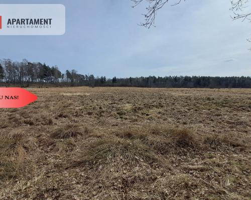 Działka  1,140 ha w lesie, przy rzece Wda-Smolniki