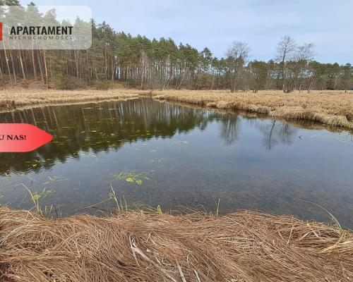 Działka  1,140 ha w lesie, przy rzece Wda-Smolniki