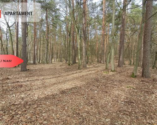 Działka  1,140 ha w lesie, przy rzece Wda-Smolniki