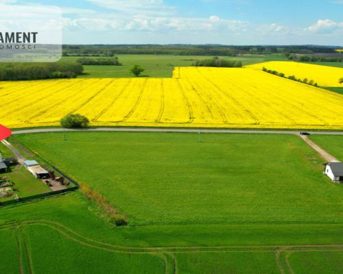 * Atrakcyjna cena! Działka z WZ Zalesie Szubin