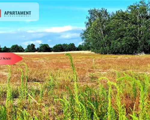 ZŁAWIEŚ MAŁA 1002m2 CISZA SPOKÓJ SUPER LOKALIZACJA