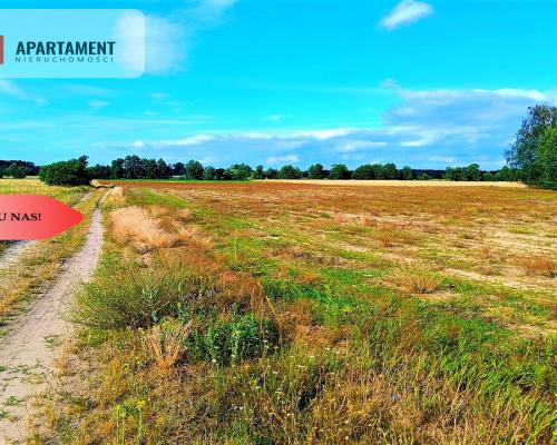 ZŁAWIEŚ MAŁA 1002m2 CISZA SPOKÓJ SUPER LOKALIZACJA