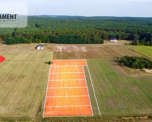 Kaszowo! W otoczeniu Lasów! Dolina Baryczy!