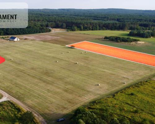 Kaszowo! W otoczeniu Lasów! Dolina Baryczy!