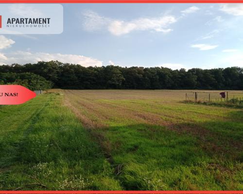 Działki pod lasem