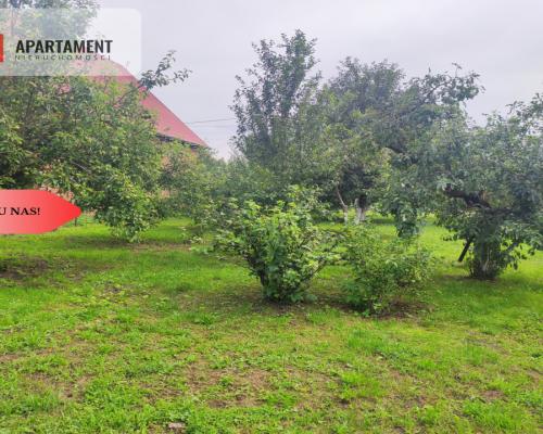 Działka rolna z dużą stodołą.