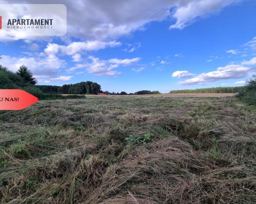 Działka budowlana w Boroszewie