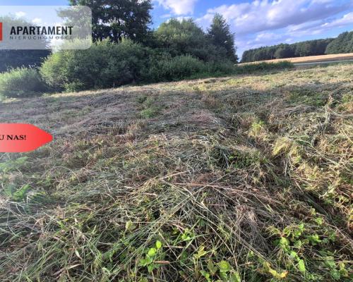 Działka budowlana w Boroszewie