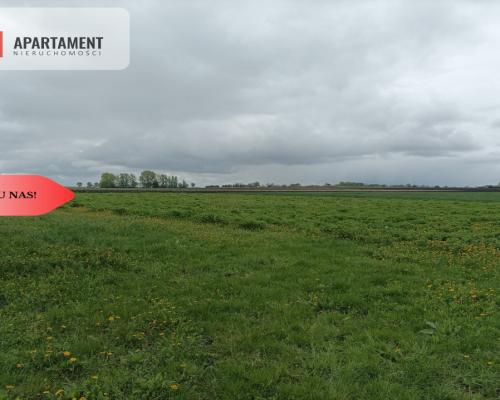 Budynek z potencjałem na dużej działce