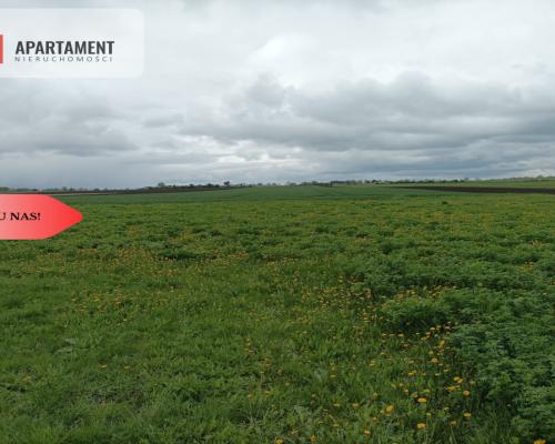 Budynek z potencjałem na dużej działce