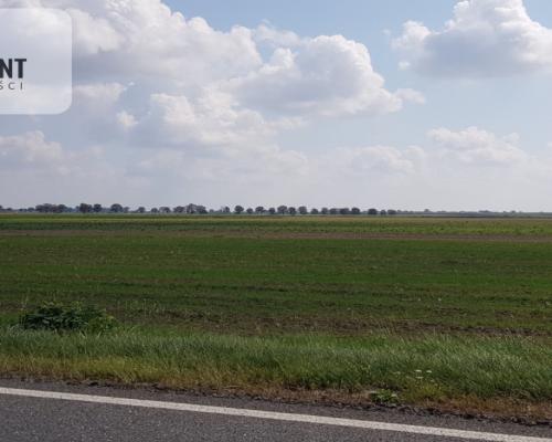 Działka przy obwodnicy z warunkami zab. Usługi!