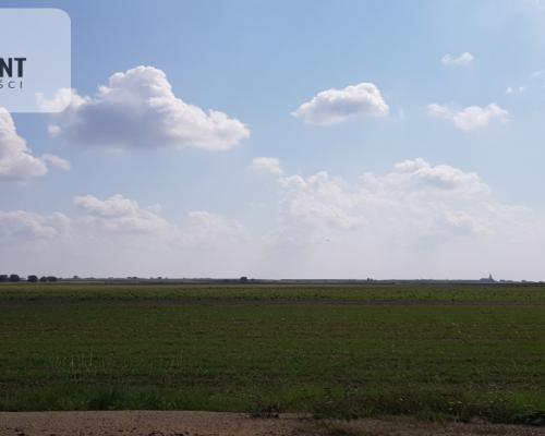 Działka przy obwodnicy z warunkami zab. Usługi!