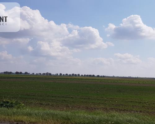 Działka przy obwodnicy z warunkami zab. Usługi!