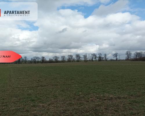 Działki na wsi- cisza i spokój!