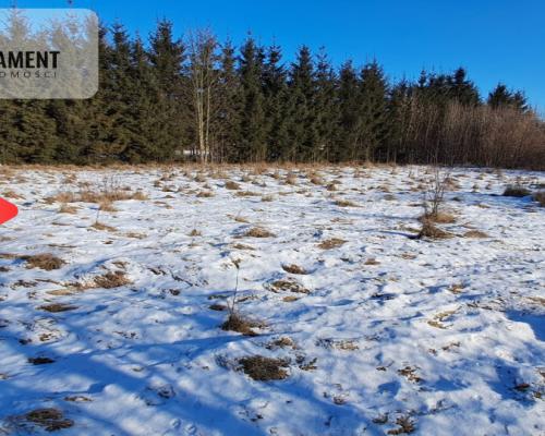 Tylko u nas! Działka w Ślesinie 1500 mkw.