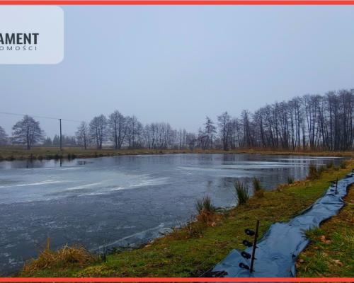 Duża działka z zarybionym stawem. Niska Cena