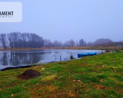 Duża działka z zarybionym stawem. Niska Cena