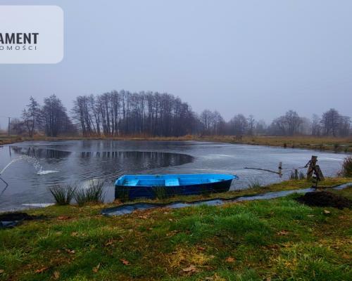Duża działka z zarybionym stawem. Niska Cena