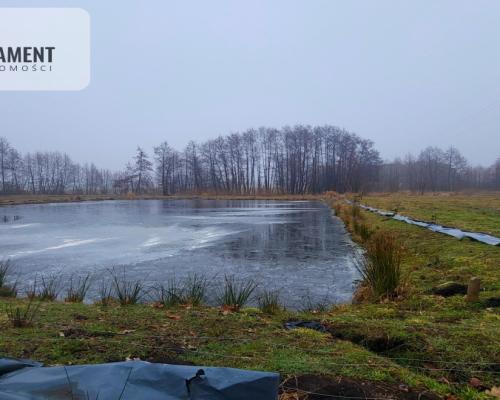 Duża działka z zarybionym stawem. Niska Cena