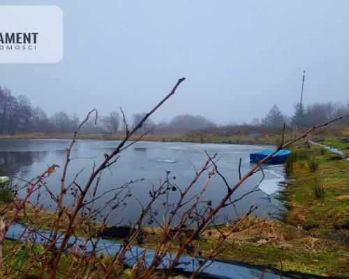 Duża działka z zarybionym stawem. Niska Cena