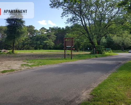 Działka siedliskowa  pod lasem (6 sztuk )