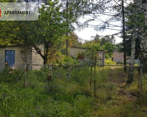 Działka siedliskowa  pod lasem (6 sztuk )