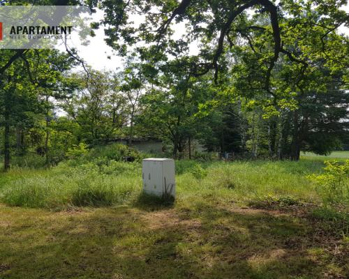 Działka siedliskowa  pod lasem (6 sztuk )