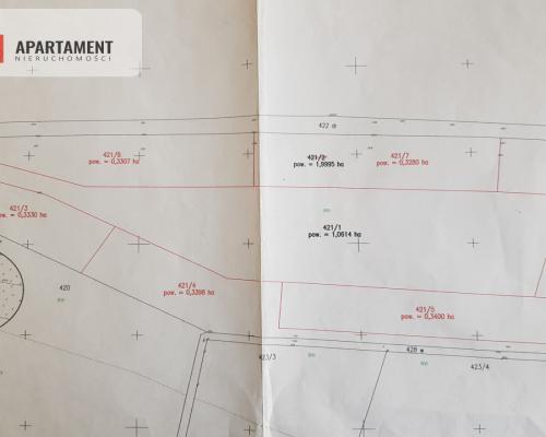 Działka siedliskowa  pod lasem (6 sztuk )