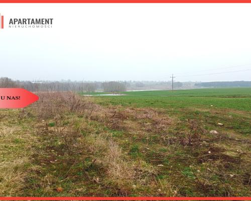 Malownicza działka wśród lasów i pól - OKAZJA