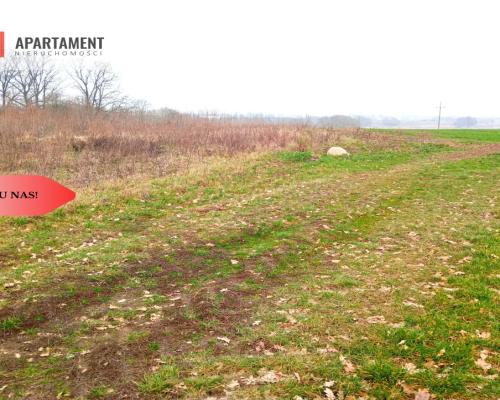 Malownicza działka wśród lasów i pól - OKAZJA