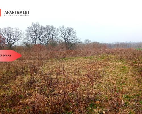 Malownicza działka wśród lasów i pól - OKAZJA