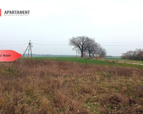 Malownicza działka wśród lasów i pól - OKAZJA