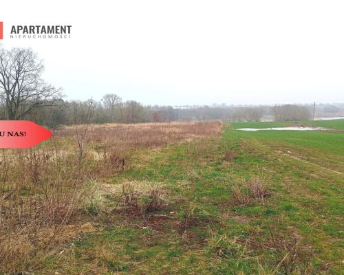 Malownicza działka wśród lasów i pól - OKAZJA