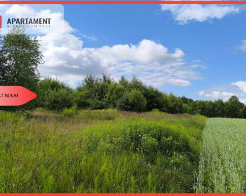 Tylko u nas!!!Przy lesie!!! 4,17 h z zabudową !!!