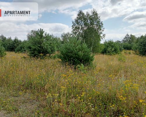 Stronno działka 993 m2 z WZ cisza spokój