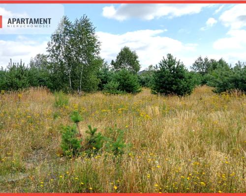 Stronno działka 993 m2 z WZ cisza spokój