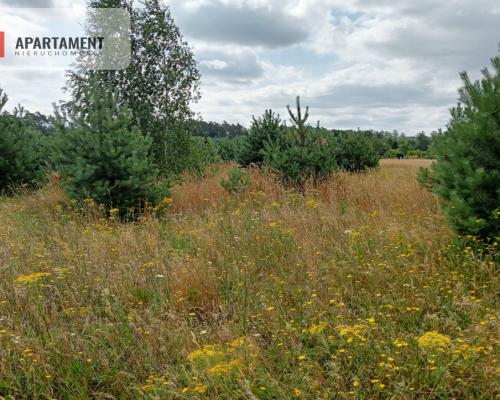 Stronno działka 993 m2 z WZ cisza spokój