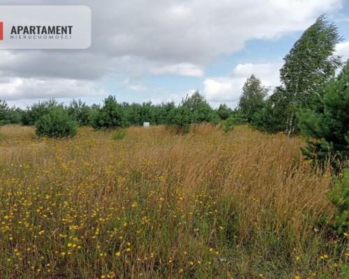 Stronno działka 993 m2 z WZ cisza spokój