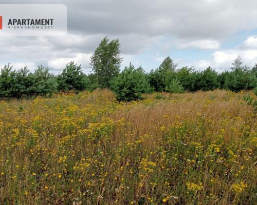 Stronno działka 993 m2 z WZ cisza spokój