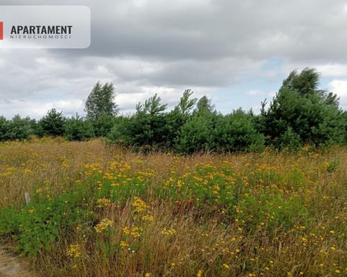 Stronno działka 993 m2 z WZ cisza spokój