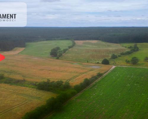 Siedlisko z warunkami zabudowy