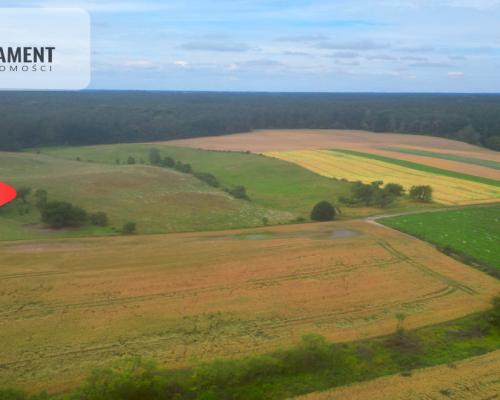 Siedlisko z warunkami zabudowy