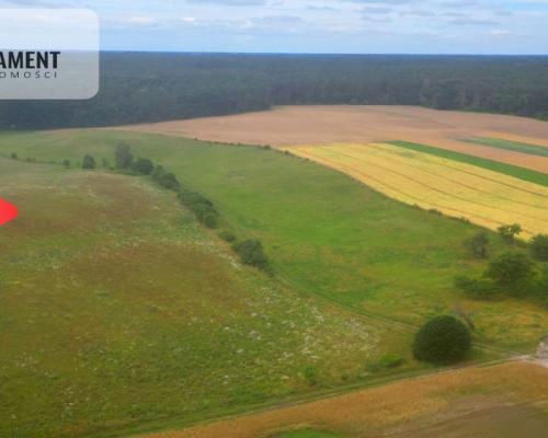Siedlisko z warunkami zabudowy
