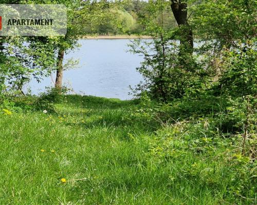 Działki z linią brzegową jeziora bez sąsiedztwa
