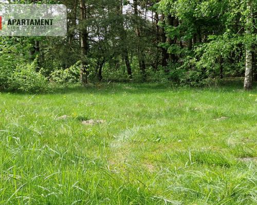 Działki z linią brzegową jeziora bez sąsiedztwa