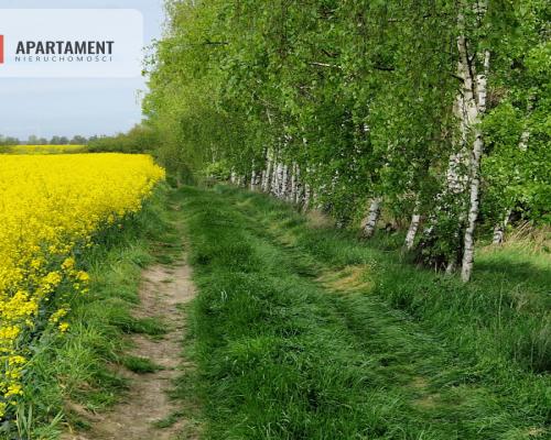 Działki z linią brzegową jeziora bez sąsiedztwa