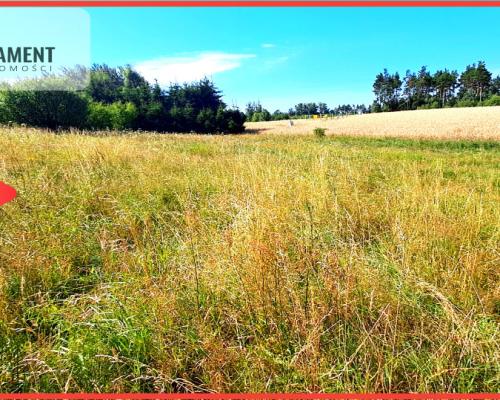 Zupełnie nowa cena!!Duża działka budowlana!!